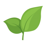 tea-leaves