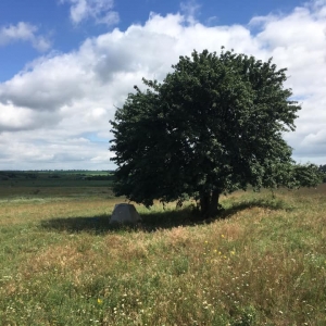 28й день : село А — село Б